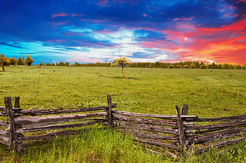 Wooden fence, landscape, tree, skyline, nature HD wallpaper