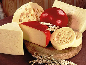 Scrumptious cheese, cheese, scrumptious HD wallpaper