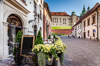 Wawel Castle, Krakow, Gourmet cuisine, Local dining HD wallpaper