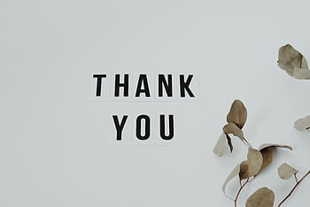 A minimalist thank you note with eucalyptus leaves, perfect for expressing gratitude. HD wallpaper
