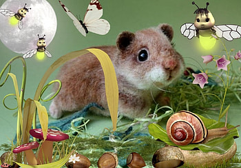 Cute Hamster, hamster, snail, butterfly, field HD wallpaper