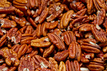 Georgia's official nut, The Georgia sun, Pecan pride, Nutty recognition HD wallpaper