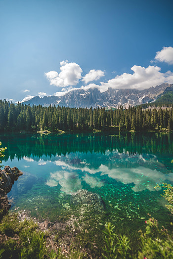 Nature, Mountains, Rocks, Lake, Reflection, Fir, Spruce HD phone wallpaper