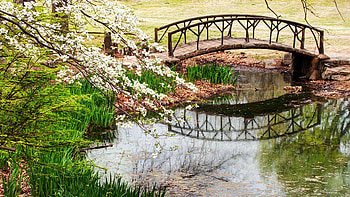 Woodward Park Bridge in Spring - Tulsa, Oklahoma, pond, reflection, blossoms, trees, grass, water, usa HD wallpaper