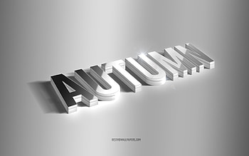 Autumn, silver 3d art, gray background, with names, Autumn name, Autumn greeting card, 3d art, with Autumn name HD wallpaper