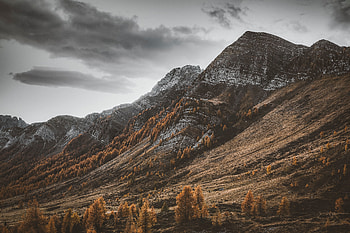 Nature, Trees, Mountains, Vertex, Tops, Slopes HD wallpaper