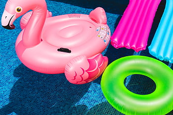 Bright inflatable flamingo and rings floating in a sunny pool. HD wallpaper