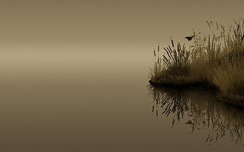 Nature, Twilight, Lake, Reflection, Dusk, Butterfly, Gloomy, Reeds HD wallpaper