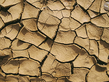 Close-up of cracked, dry soil conveying the harshness of arid desert conditions. HD wallpaper