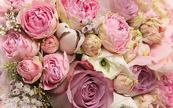 Flower Bouquet, Bouquets , Floral arrangements, Stunning bouquets HD wallpaper