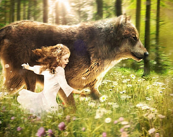 He's Not A Big Bad Wolf, entertainment, movies, twilight saga, breaking dawn, wolf, renesmee HD wallpaper