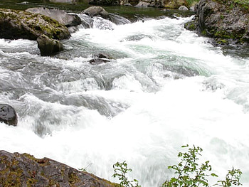 zing Action of the Waterfall, Olympic National Park, WA, falls, leaves, water, rock HD wallpaper