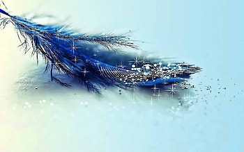 Objects, Feather HD wallpaper