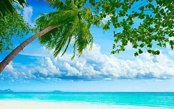 Tropical Beach Resorts Wide for HD wallpaper