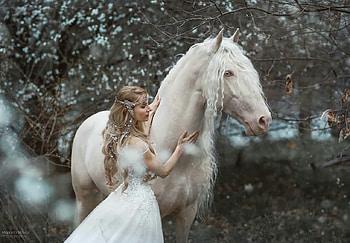 Princess and white horse, hirse, cal, bride, princess, dress, animal, horse, white, model, girl, woman, marketa novak HD wallpaper