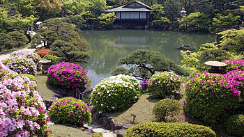 Landscape, Nature, Bush, Pond, Handsomely, It's Beautiful HD wallpaper