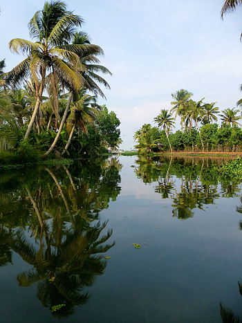 Kerala's backwaters, Relaxing pace, Unique travel experience, Nature's wonder HD phone wallpaper