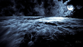 Dark Sea, night, blue, full moon, sea, rocks, Firefox Persona theme, dark, beach, surf, waves, trees, ocean HD wallpaper