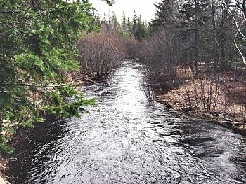 river flow , daylight, water HD wallpaper