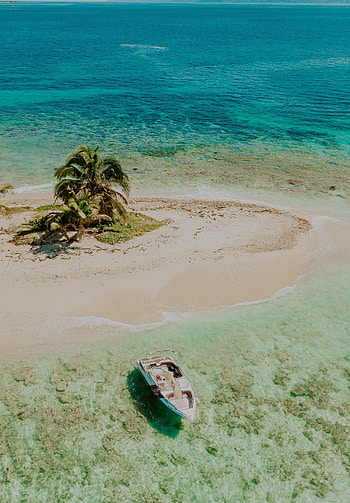 Nature, Sea, Beach, Coast, Palm, Boat HD phone wallpaper
