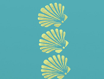 sea shells on teal , sea, shell, teal, , sea shells, ocean HD wallpaper