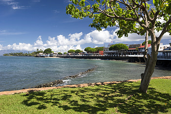 Lahaina reasons, Stay, Maui blog, All about Maui HD wallpaper