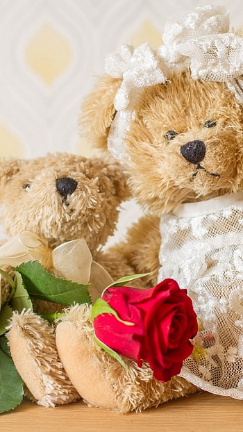 Teddy Bear Ke, White Gown, Dress HD phone wallpaper