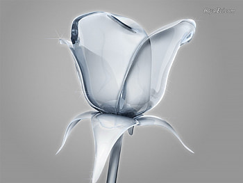 glass rose, glass, fragile, roses, petals HD wallpaper