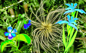 Brush Flowers, brush, enhanced, collage, flower HD wallpaper