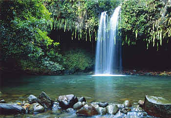 Forest Waterfall, waterfalls, forests, nature, rocks HD wallpaper