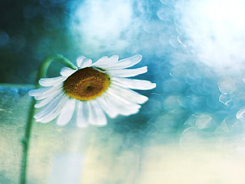 Feeling Down, feeling, down HD wallpaper