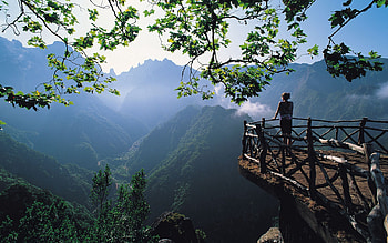 Nature, Mountains, Fog, Handsomely, It's Beautiful, Observation, Lookout HD wallpaper