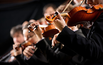 Symphony orchestra, Violin section, Captivating performance, Vibrant red background HD wallpaper