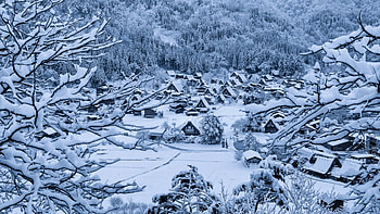 Shirakawa-go Village, winter, japanese, japan, town, scenery, shirakawa, snow, nature, village HD wallpaper