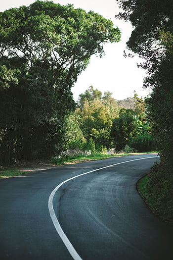 A scenic winding road surrounded by lush greenery in Knysna, South Africa, under daylight. HD phone wallpaper