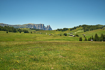 Nature, Grass, Sky, Bush, Field, Village HD wallpaper