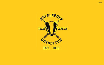 Hufflepuff Quidditch Team - Harry Potter HD wallpaper