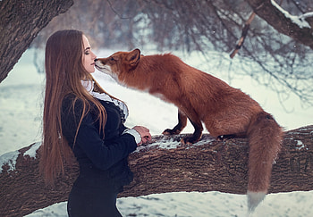 Fox With Girl Depth Of Field, fox, girl, model, animals, depth-of-field HD wallpaper