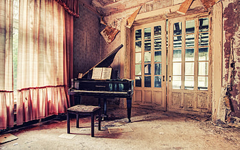 Melodic beauty, Musical elegance, Captivating instrument, Artistic expressions HD wallpaper