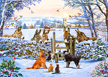 many animals, dogs, winter, snow, animals HD wallpaper