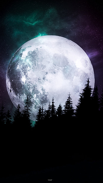 Moonrise, Space, atmosphere, sky, Galaxy, Night, Moon, Nebula, Woods, Forest HD phone wallpaper
