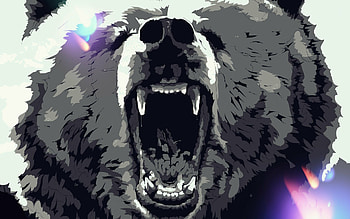 Bear, , Background , Wildlife HD wallpaper