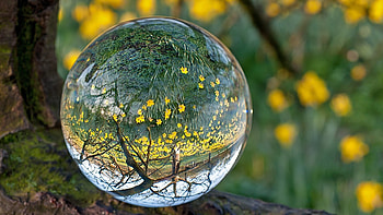Glass (Other), Glass ball, Abstract patterns, Spherical design HD wallpaper