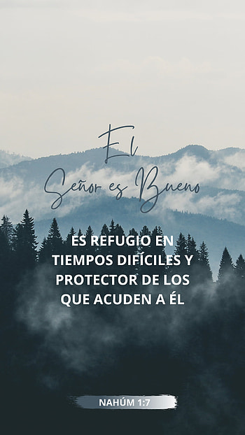 El señor es bueno, bible, refugio, Dios, biblia, god HD phone wallpaper