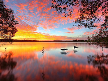 Peaceful View, Sunset, Peaceful, Water, Reflection, View HD wallpaper