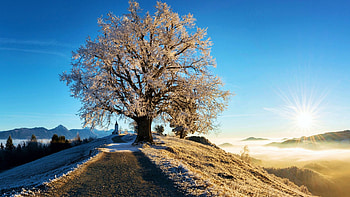 Winter in Bavarian Alps, road, ice, snow, germany, landscape, sky HD wallpaper