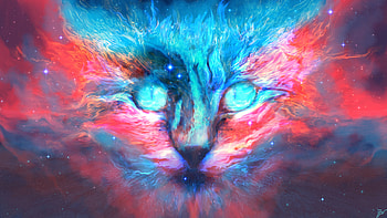Into Dreams Cat, cat, artist, artwork, digital-art, deviantart HD wallpaper