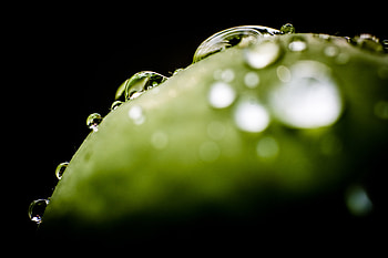 Water, Drops, Macro, Dark HD wallpaper