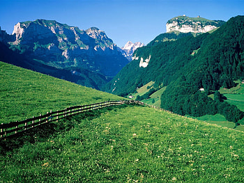 Nature, Trees, Mountains, Greens, Fence, Switzerland, Meadows, Slopes, Pasture HD wallpaper