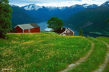 Cool View, view, cool, beautiful HD wallpaper
